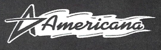 Americana Star Logo Fleece Pullover Hoodie